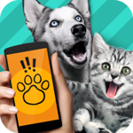 Animal Translator Simulator APK 2025