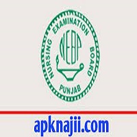 Apk Najii Download 2025