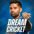 Dream Cricket 2024 APK APK Icon - Download Dream Cricket 2024 APK for Android