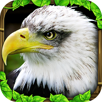 Eagle Game APK 2025