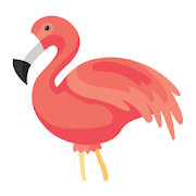 Flamingo Animator Premium APK 2025