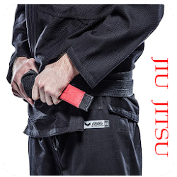 Jiu Jitsu APK 2025