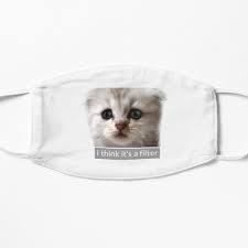 Lawyer Cat Filter APP APK 2025