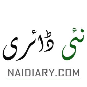 Naidiary Download APK 2025