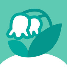 Nookea APK 2025