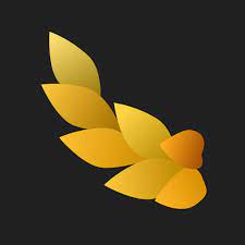 NYMF Premium APK 2025