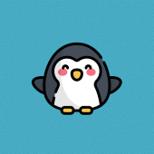 Pingru APK 2025 [Download Insta Media]