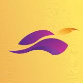 Robinhood Rider APK 2.5.8 Premium 2025