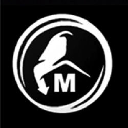 Strix VT APK 2025