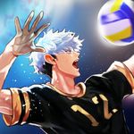 The Spike Volleyball Story Premium APK 1.6.2