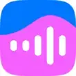 VK Music Premium APK 2025